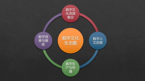 張曉明 跨越新文創時代專業鴻溝，構建數字文化生態圈
